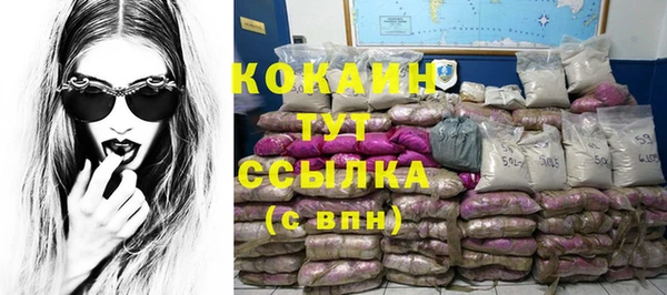 стаф Сатка