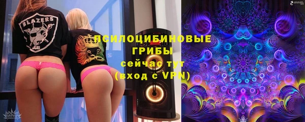 дурь Бородино