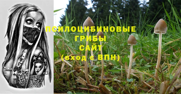герыч Бугульма