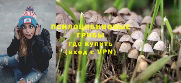 стафф Верхний Тагил