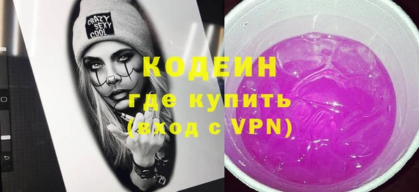 дурь Бородино